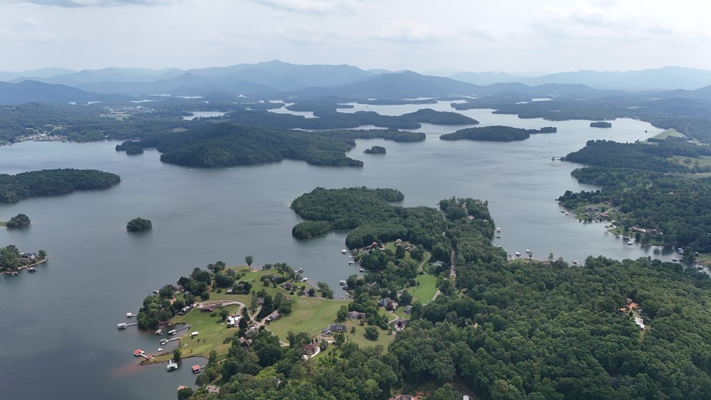 Highway 64 E, HAYESVILLE, North Carolina image 5