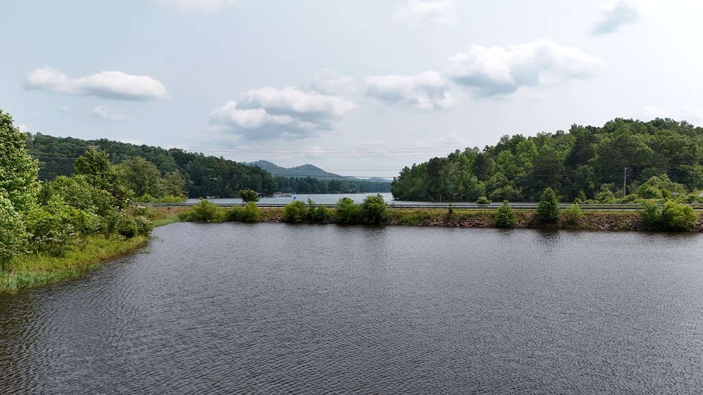 Highway 64 E, HAYESVILLE, North Carolina image 12