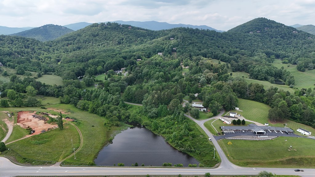 Highway 64 E, HAYESVILLE, North Carolina image 9