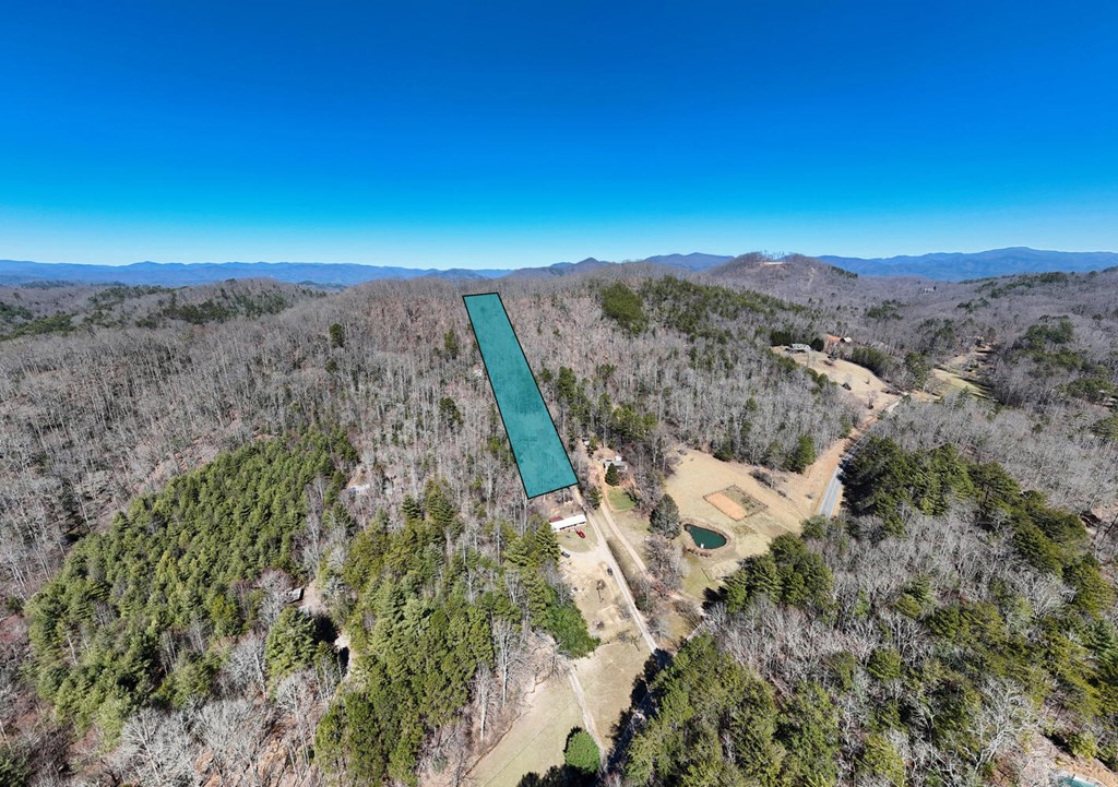 1689 Greasy Creek Road, BRASSTOWN, North Carolina image 38