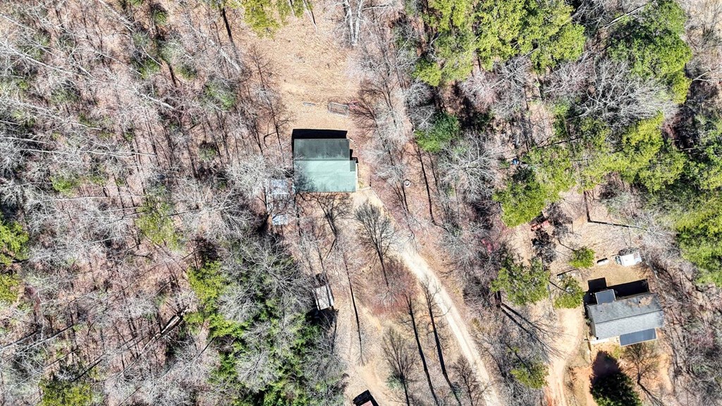 1689 Greasy Creek Road, BRASSTOWN, North Carolina image 35