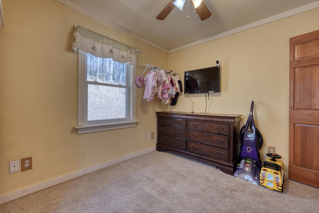 1689 Greasy Creek Road, BRASSTOWN, North Carolina image 21
