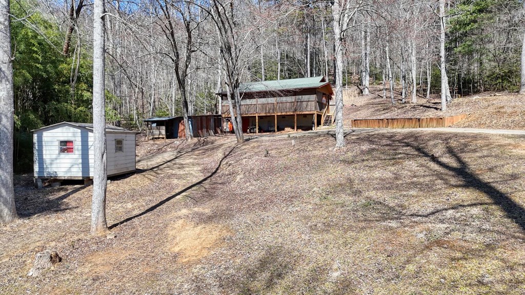 1689 Greasy Creek Road, BRASSTOWN, North Carolina image 4