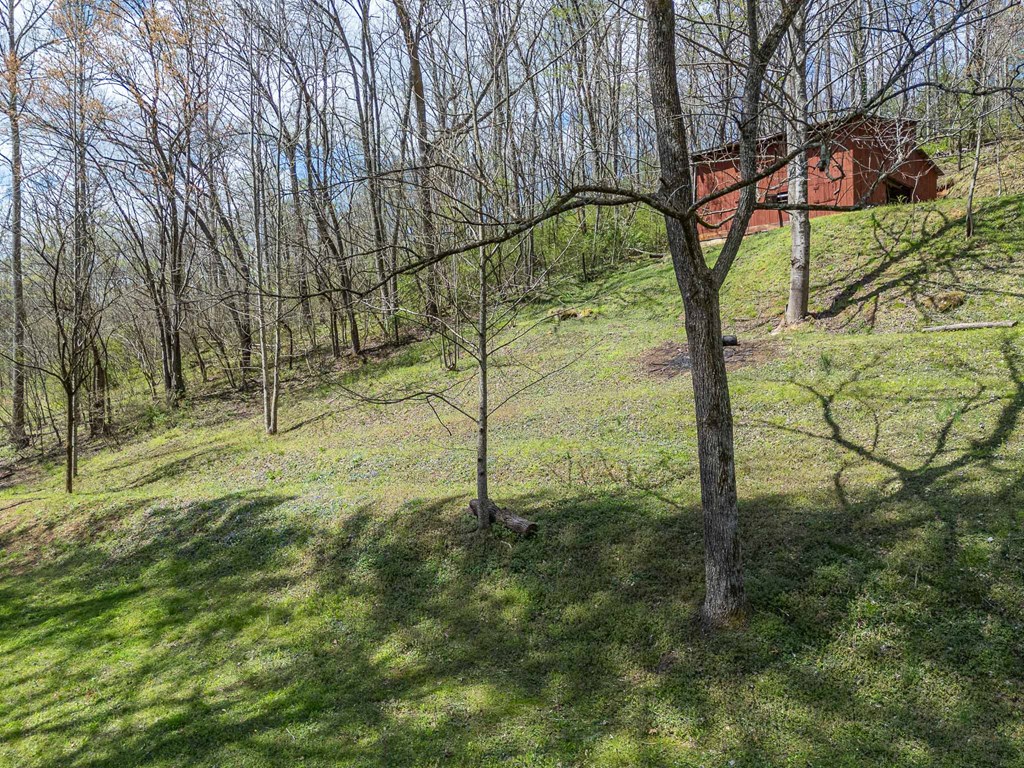 211 Gregory Hollow Road, ROBBINSVILLE, North Carolina image 45