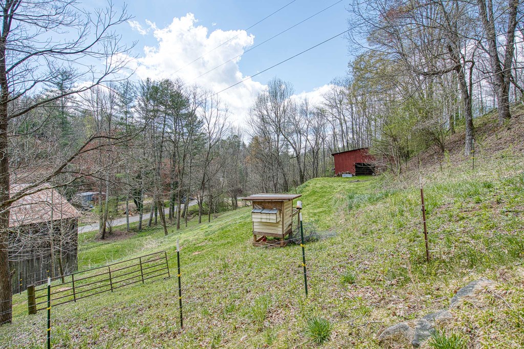 211 Gregory Hollow Road, ROBBINSVILLE, North Carolina image 50