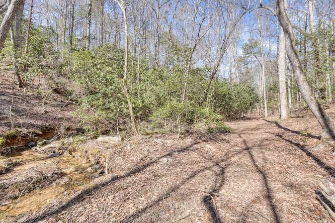 271 Kates Cove Road, MURPHY, North Carolina image 43