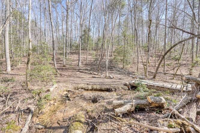 271 Kates Cove Road, MURPHY, North Carolina image 41