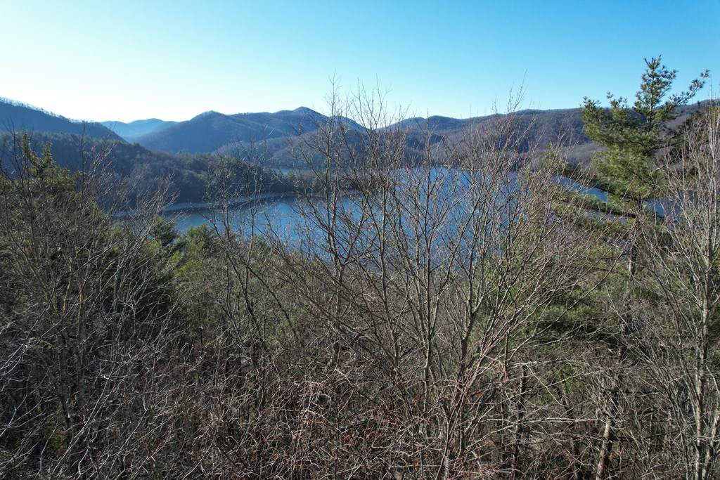 TBD Lake Shore Drive, NANTAHALA, Alabama image 2