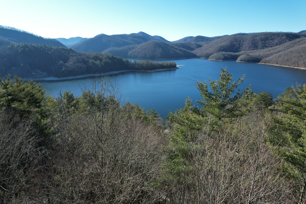 TBD Lake Shore Drive, NANTAHALA, Alabama image 9