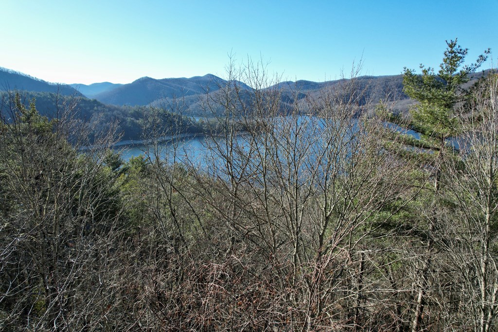 TBD Lake Shore Drive, NANTAHALA, Alabama image 8