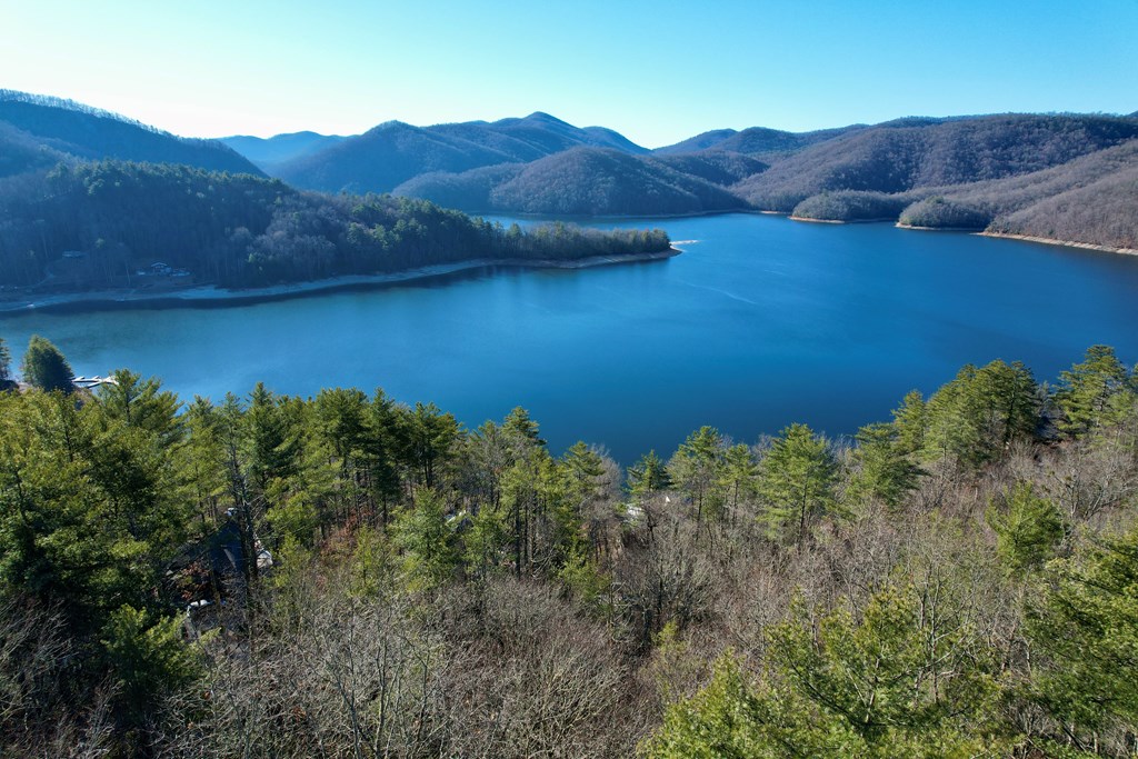 TBD Lake Shore Drive, NANTAHALA, Alabama image 3