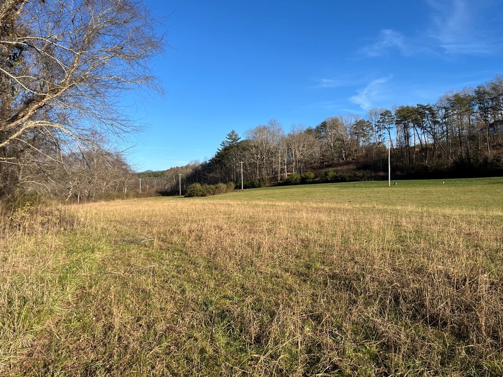 Lot 12 Harshaw Farm Drive #12, MURPHY, North Carolina image 8