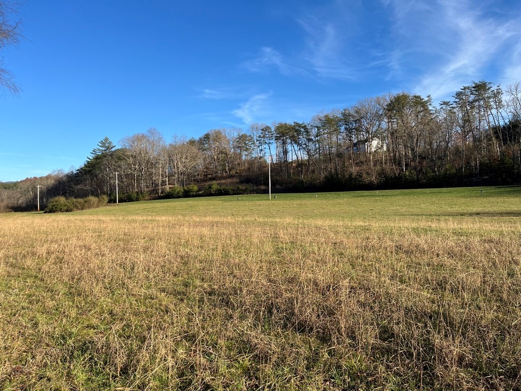 Lot 12 Harshaw Farm Drive #12, MURPHY, North Carolina image 7