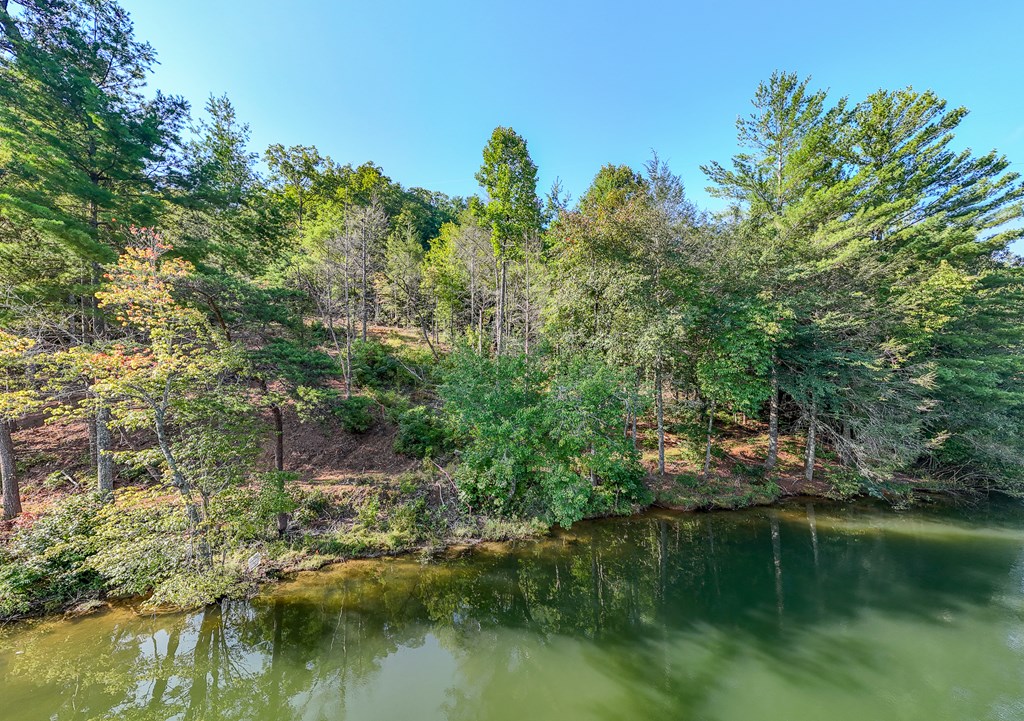 Lot 4 The Landings Drive, ROBBINSVILLE, North Carolina image 5