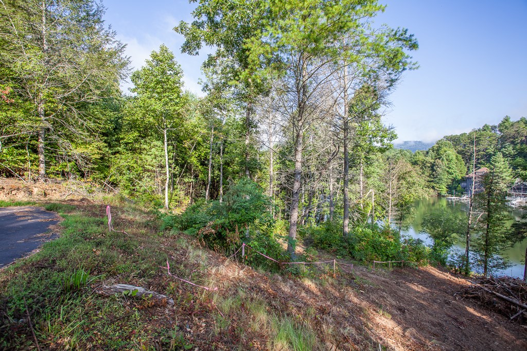 Lot 4 The Landings Drive, ROBBINSVILLE, North Carolina image 14