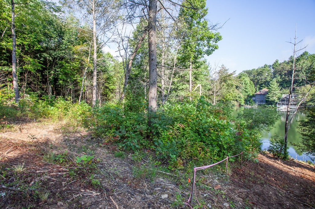 Lot 4 The Landings Drive, ROBBINSVILLE, North Carolina image 15