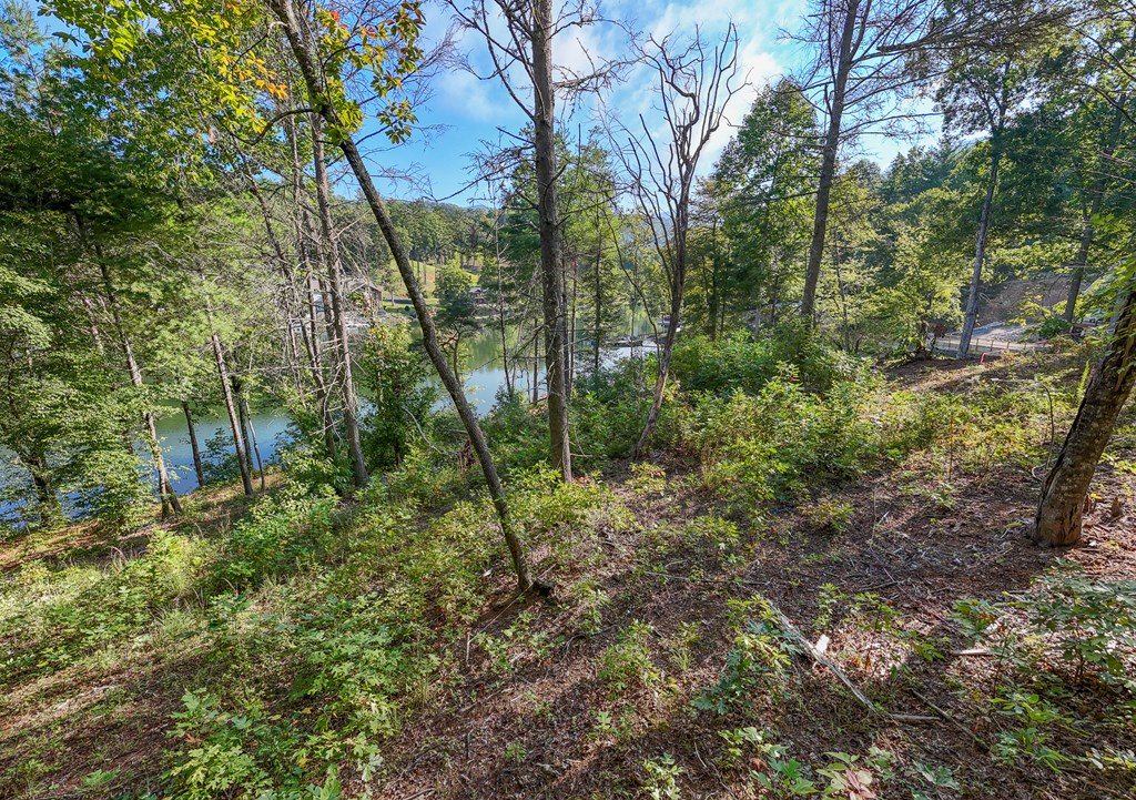 Lot 4 The Landings Drive, ROBBINSVILLE, North Carolina image 9