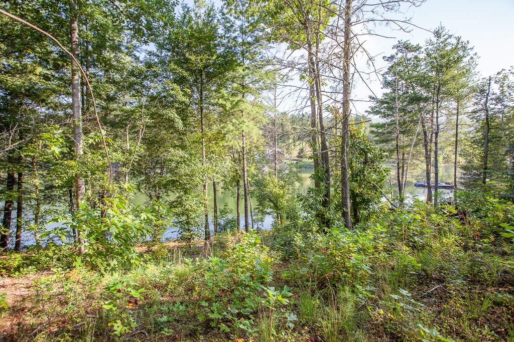 Lot 4 The Landings Drive, ROBBINSVILLE, North Carolina image 22