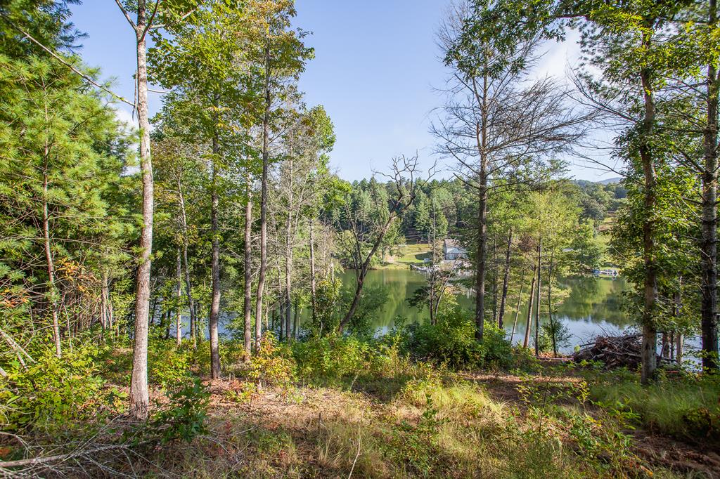 Lot 4 The Landings Drive, ROBBINSVILLE, North Carolina image 27