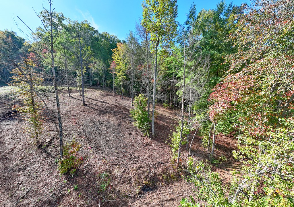 Lot 4 The Landings Drive, ROBBINSVILLE, North Carolina image 32