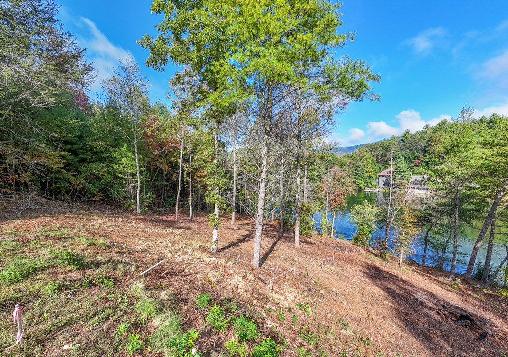 Lot 4 The Landings Drive, ROBBINSVILLE, North Carolina image 30