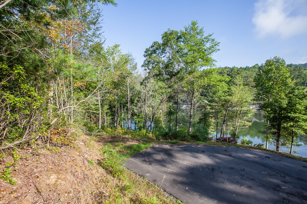 Lot 4 The Landings Drive, ROBBINSVILLE, North Carolina image 12