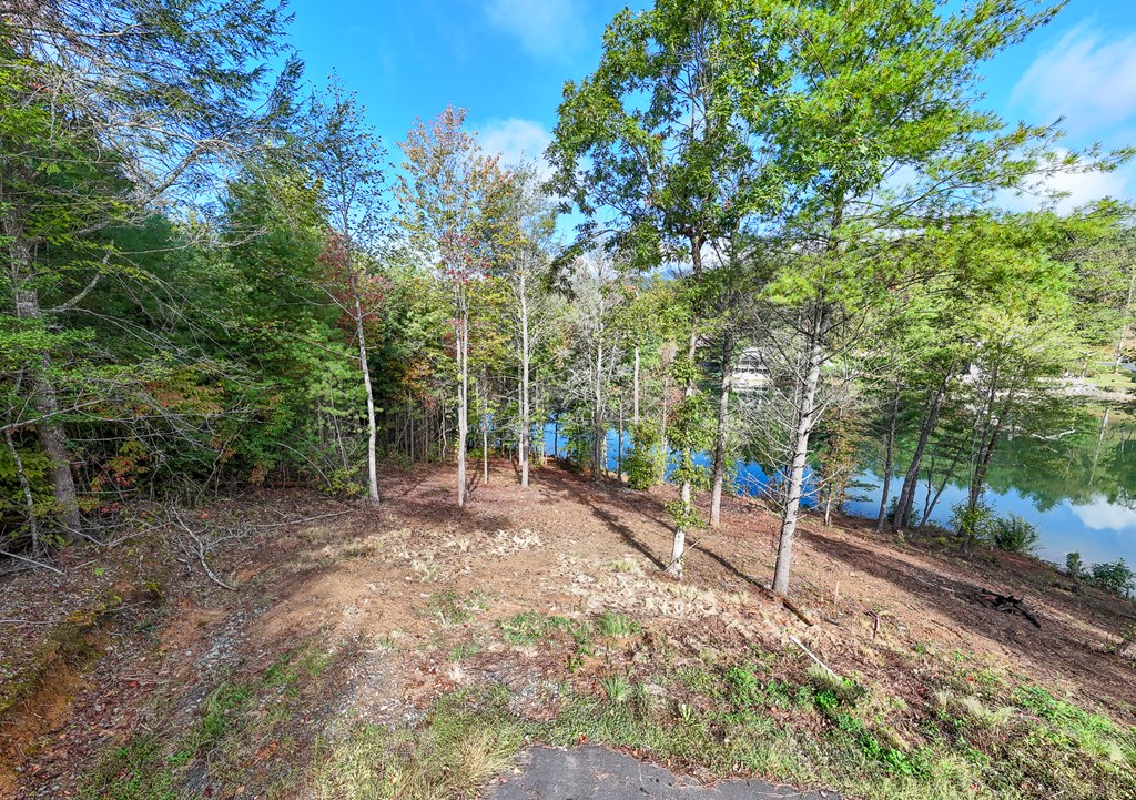 Lot 4 The Landings Drive, ROBBINSVILLE, North Carolina image 28