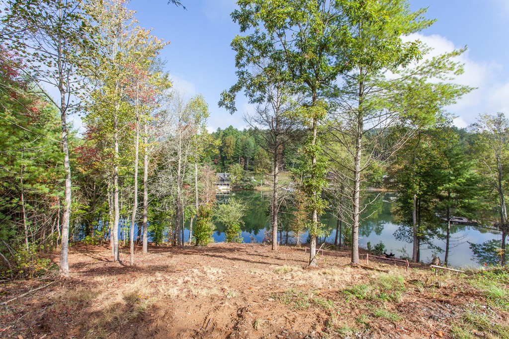 Lot 4 The Landings Drive, ROBBINSVILLE, North Carolina image 26