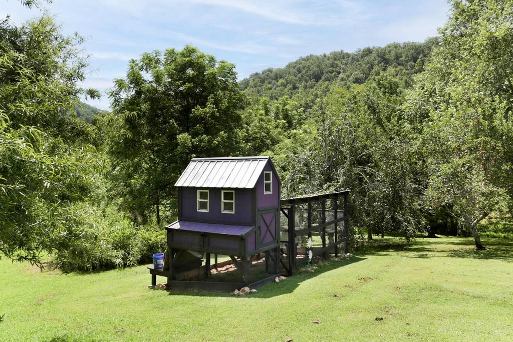 170 Morning Mist Lane, HAYESVILLE, North Carolina image 16