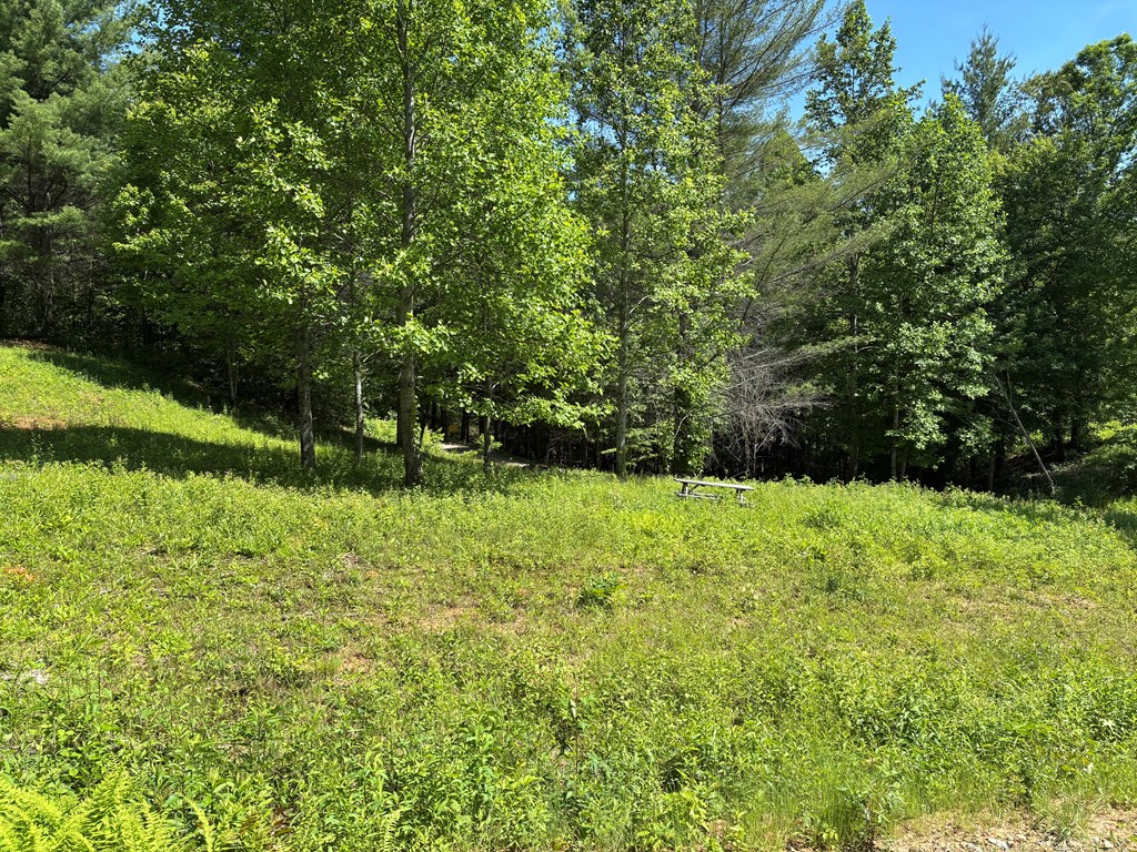 15 Merlin Trail #28, MURPHY, North Carolina image 3