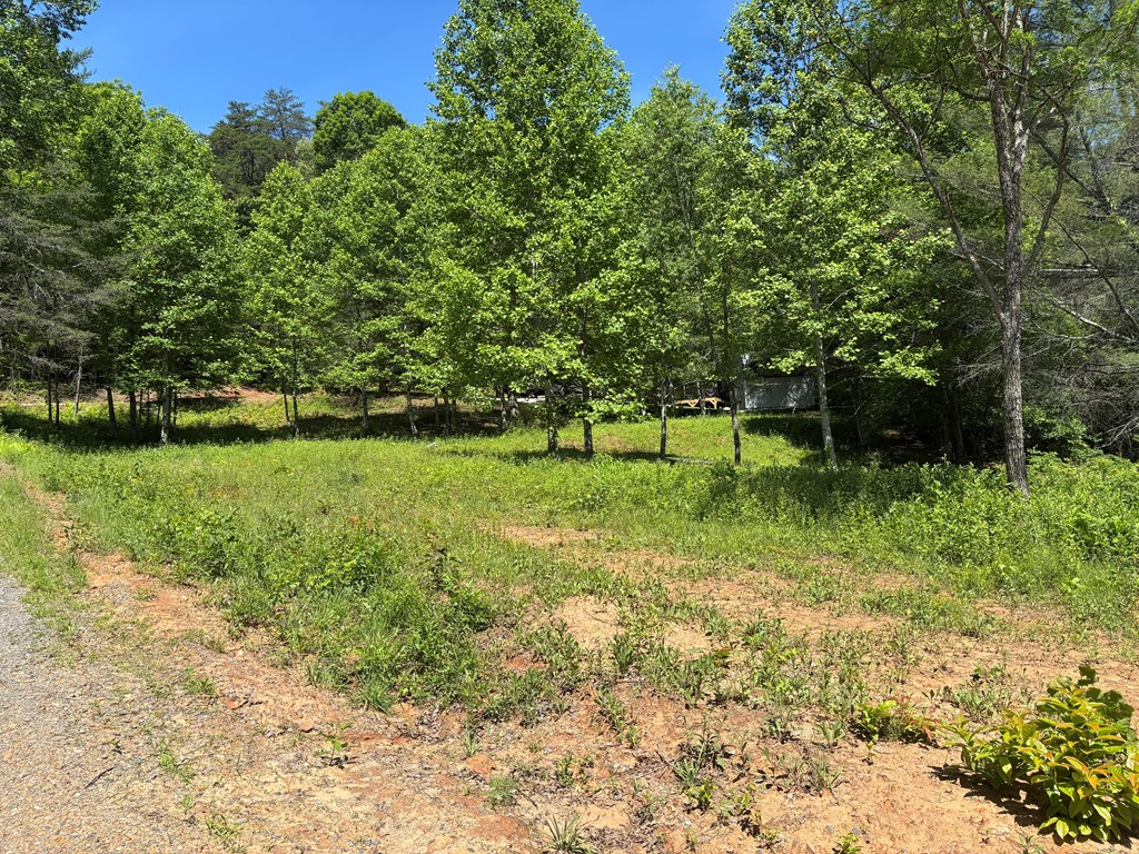 15 Merlin Trail #28, MURPHY, North Carolina image 2