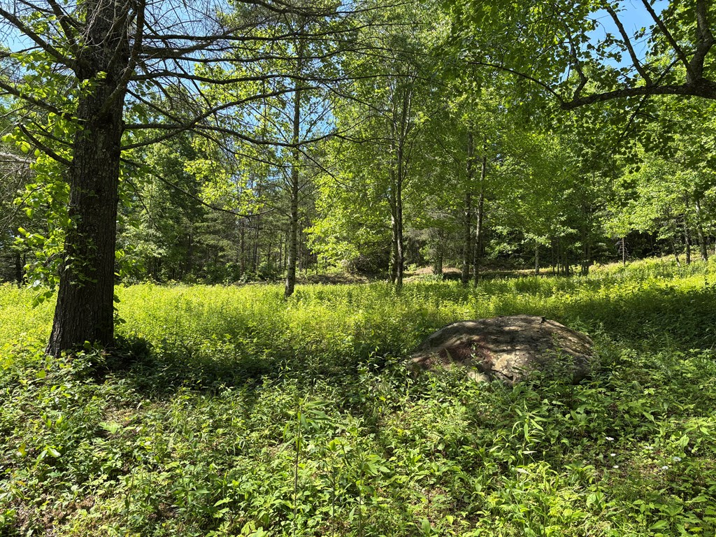 15 Merlin Trail #28, MURPHY, North Carolina image 4