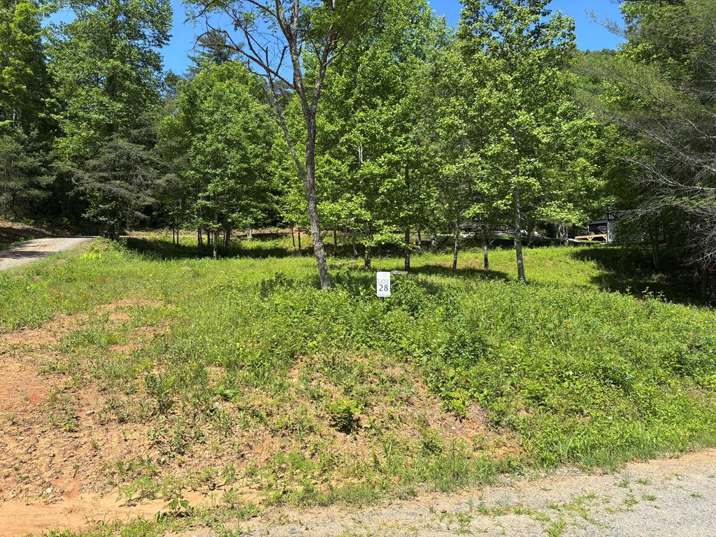 15 Merlin Trail #28, MURPHY, North Carolina image 1