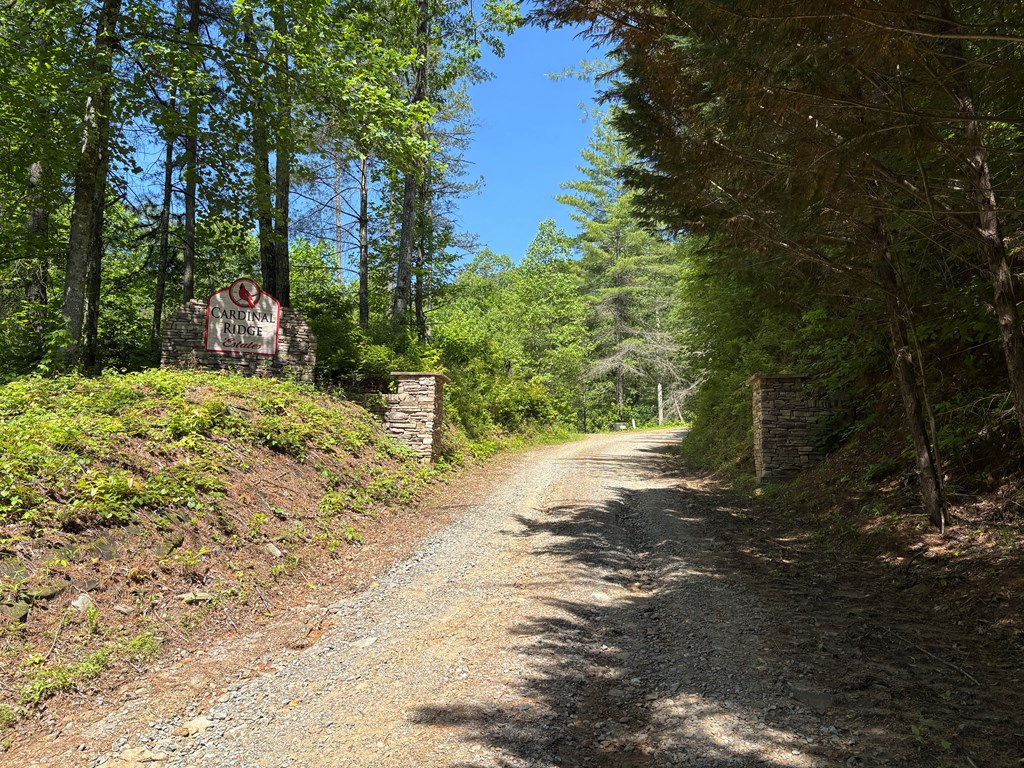 15 Merlin Trail #28, MURPHY, North Carolina image 6