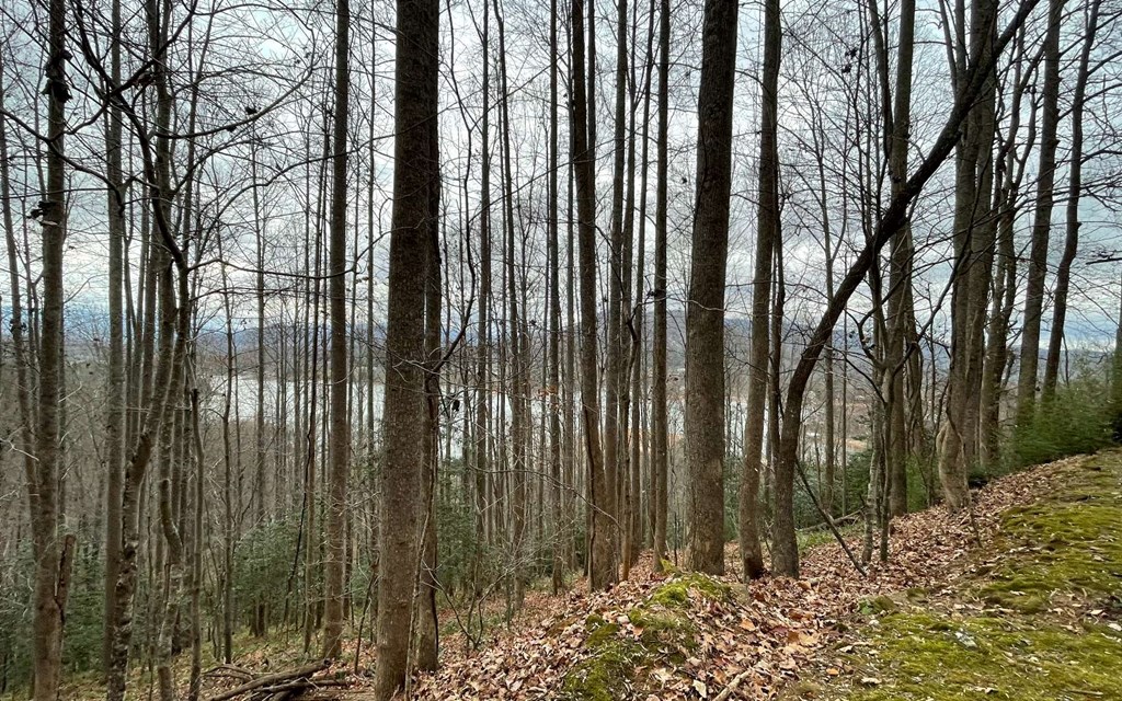 Lot 19 Twin Mountain Subdivision #19, HIAWASSEE, Georgia image 14