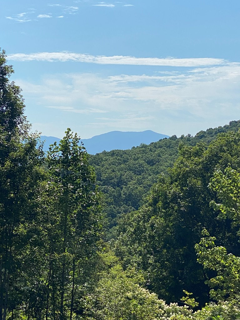 Lot 20 Smokerise #20, HAYESVILLE, North Carolina image 9