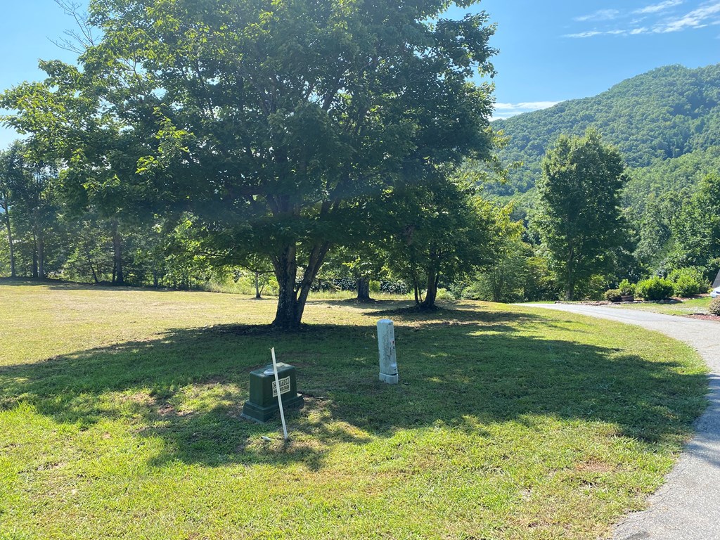 Lot 20 Smokerise #20, HAYESVILLE, North Carolina image 3