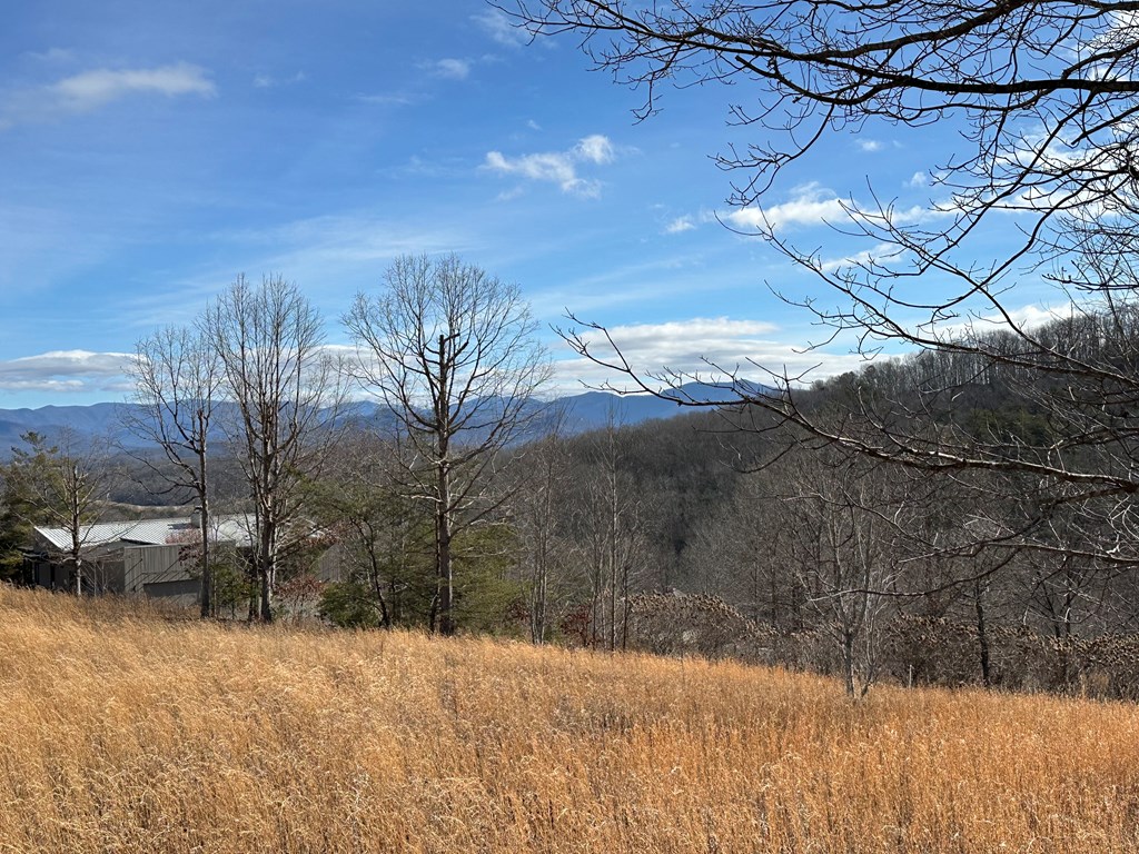 Lot 20 Smokerise #20, HAYESVILLE, North Carolina image 16