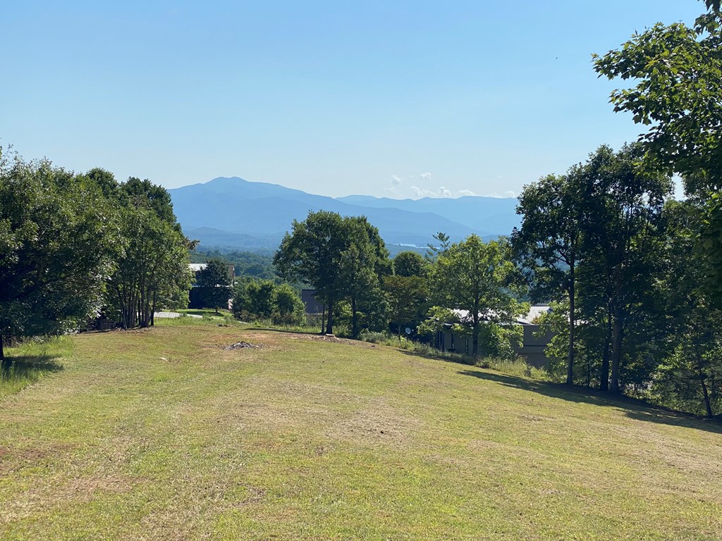 Lot 20 Smokerise #20, HAYESVILLE, North Carolina image 6