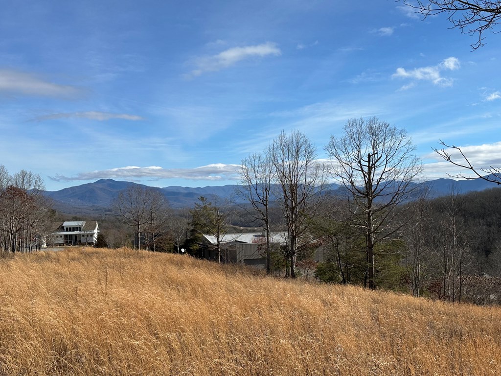 Lot 20 Smokerise #20, HAYESVILLE, North Carolina image 15