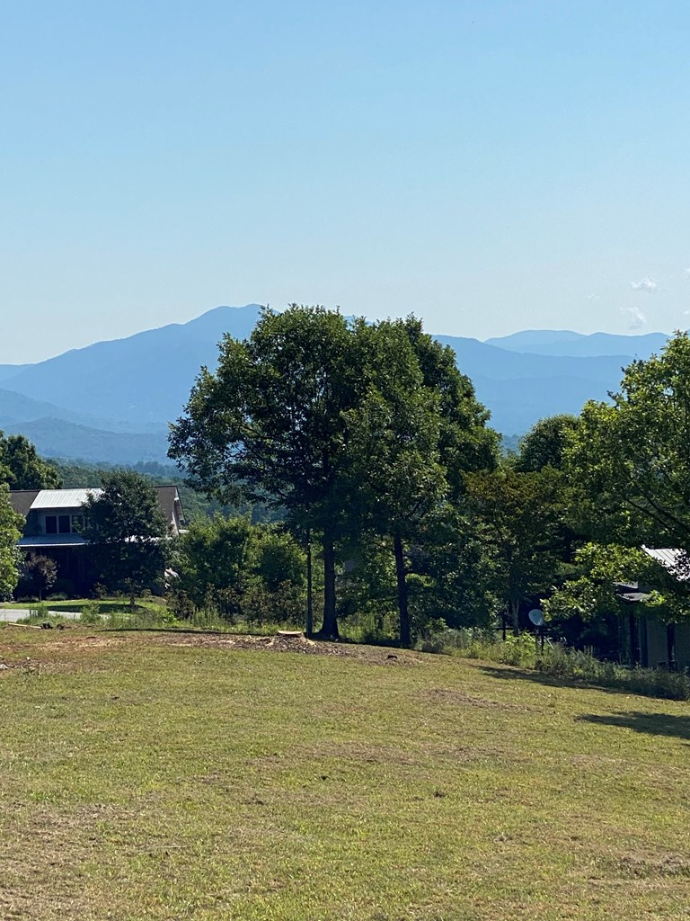 Lot 20 Smokerise #20, HAYESVILLE, North Carolina image 10