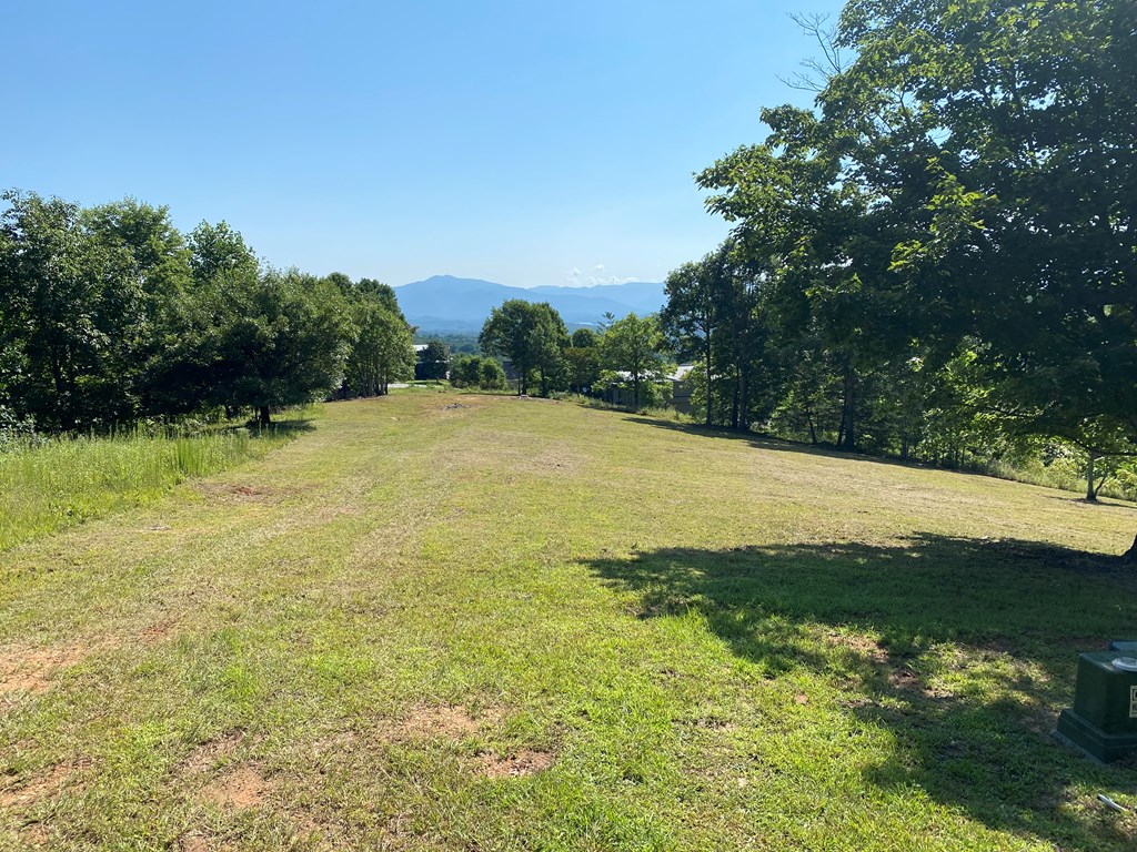 Lot 20 Smokerise #20, HAYESVILLE, North Carolina image 2