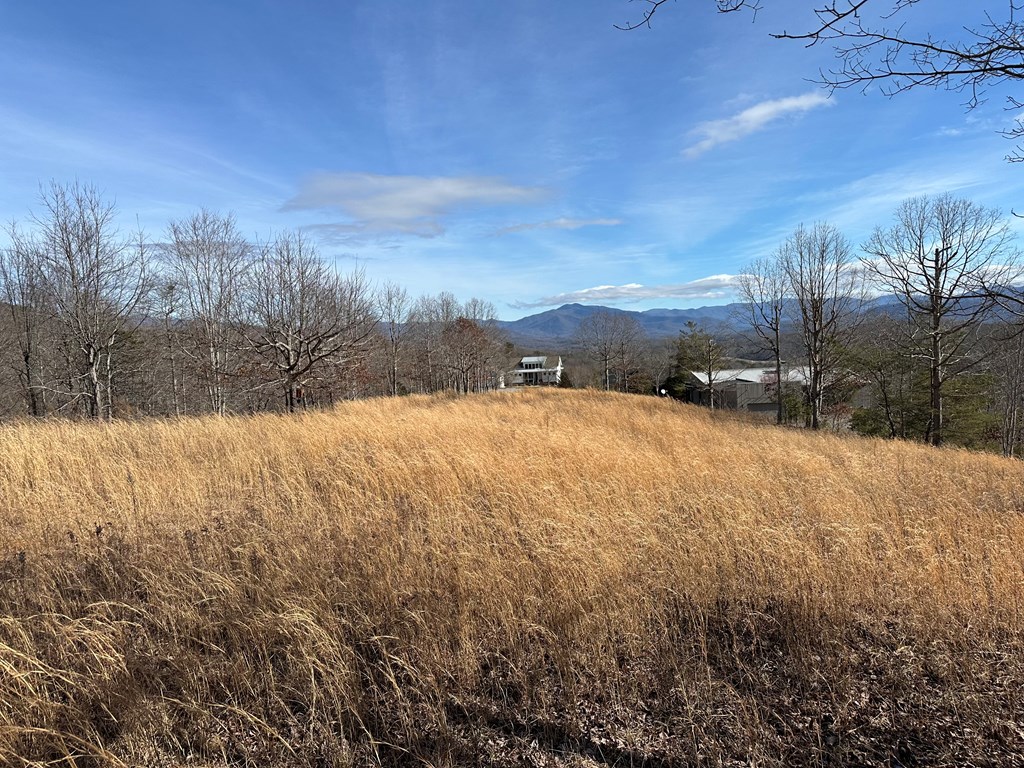 Lot 20 Smokerise #20, HAYESVILLE, North Carolina image 14