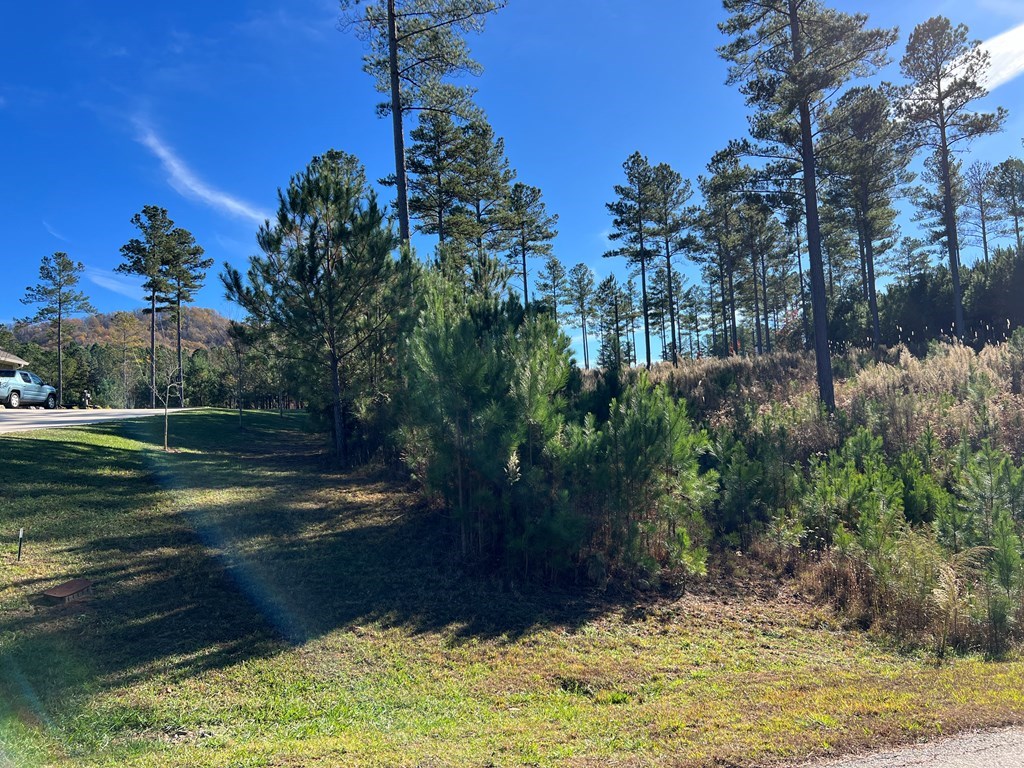 Lot 313 The Cove At 1300 #313, BLAIRSVILLE, Georgia image 18