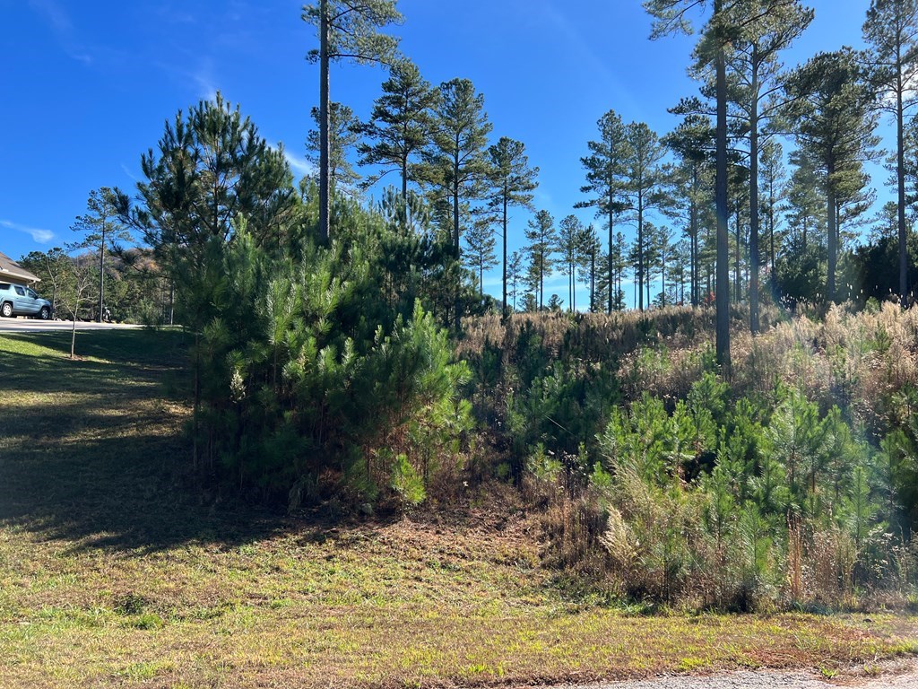 Lot 313 The Cove At 1300 #313, BLAIRSVILLE, Georgia image 17