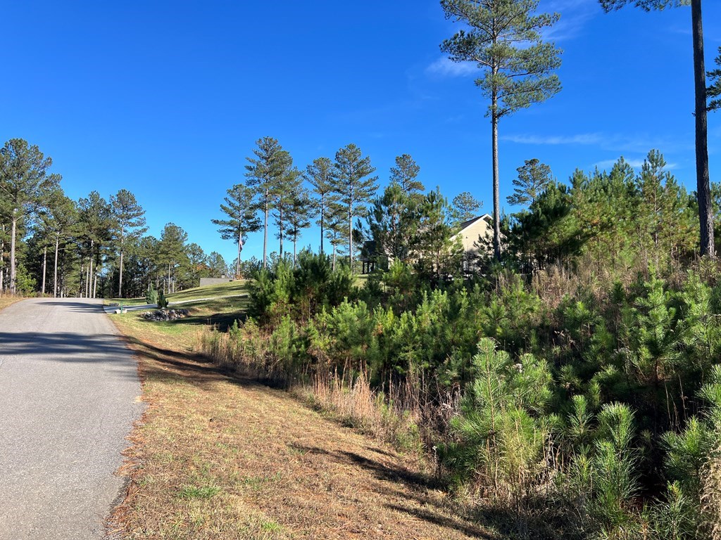 Lot 313 The Cove At 1300 #313, BLAIRSVILLE, Georgia image 4