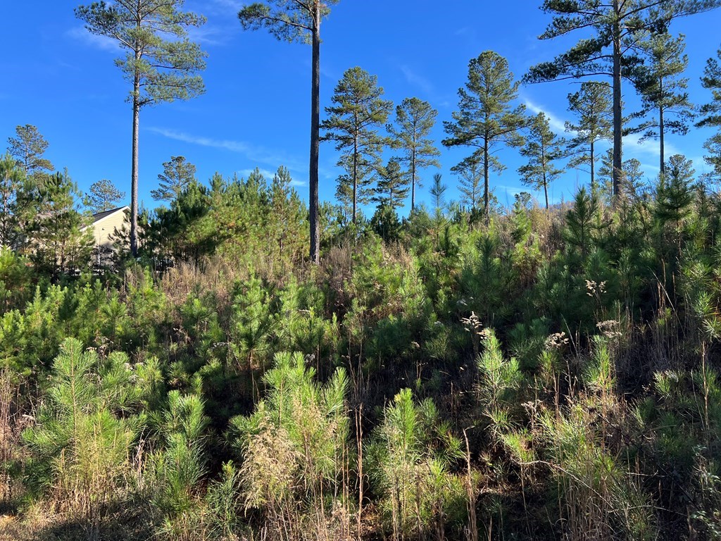 Lot 313 The Cove At 1300 #313, BLAIRSVILLE, Georgia image 35