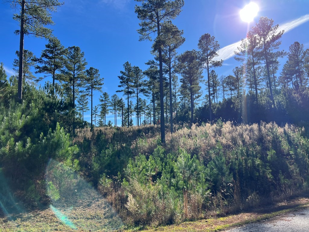 Lot 313 The Cove At 1300 #313, BLAIRSVILLE, Georgia image 36