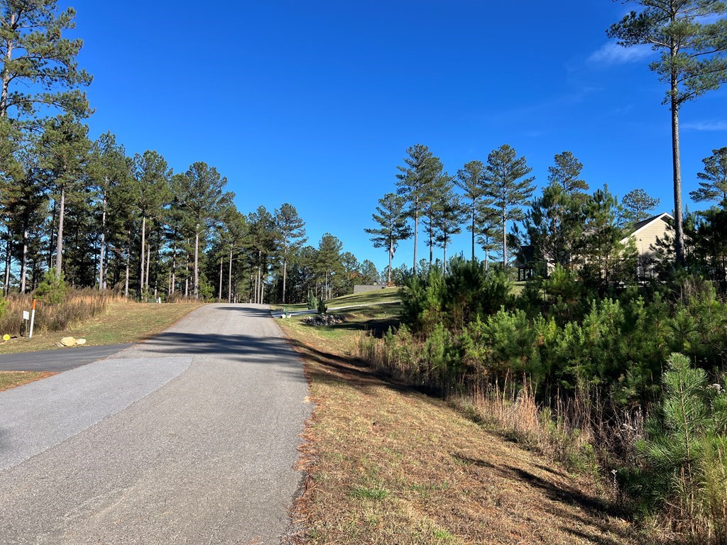 Lot 313 The Cove At 1300 #313, BLAIRSVILLE, Georgia image 3