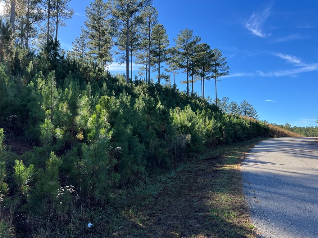 Lot 313 The Cove At 1300 #313, BLAIRSVILLE, Georgia image 40